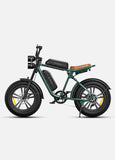 ENGWE M20 750W MOTOR 1000W PEAK POWER 25KM/H 48V 13AH/26AH 20 INCH ELECTRIC BIKE