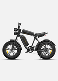 ENGWE M20 750W MOTOR 1000W PEAK POWER 25KM/H 48V 13AH/26AH 20 INCH ELECTRIC BIKE